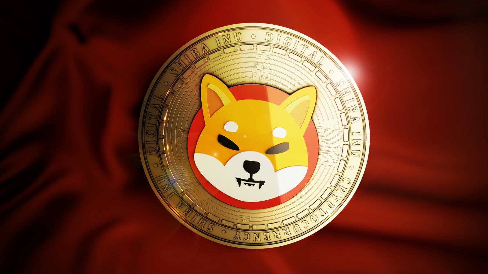 在隐私币热潮中，Shiba Inu（SHIB）恐失前30地位