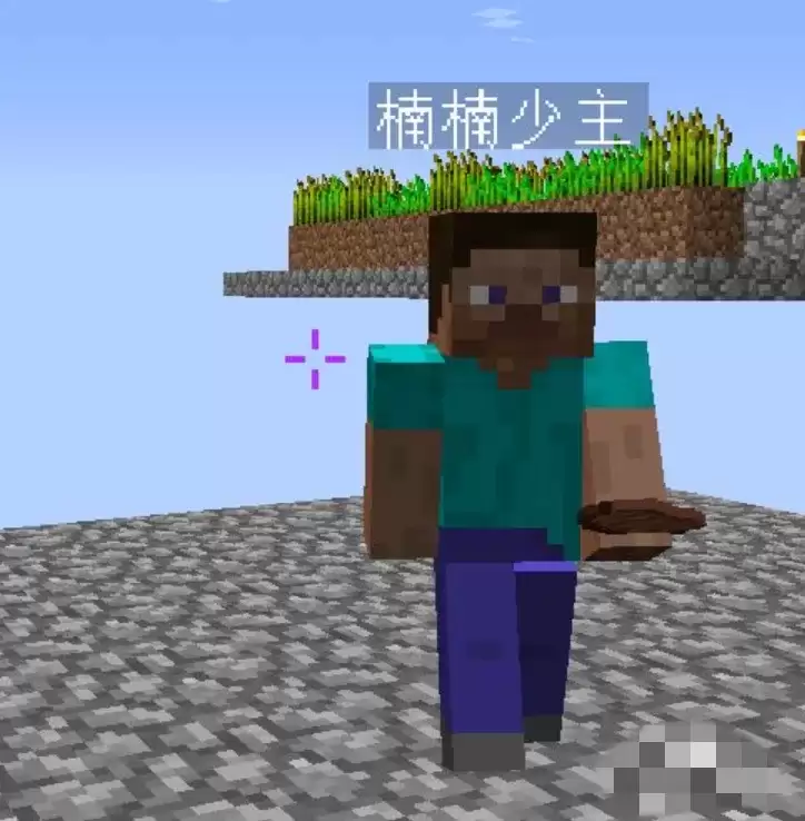 我的世界如何传送到队友那里