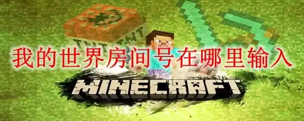 我的世界房间号应该在哪里输入