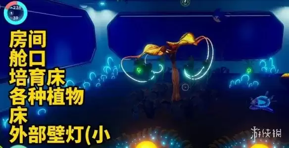 深海迷航2水族箱建造指南：三层架构解析与观赏鱼饲养心得