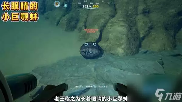 深海迷航2-小巨颚蚌隐藏彩蛋位置在哪