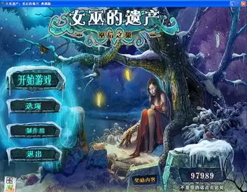红色沙漠女巫任务攻略玩法指南