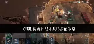 镭明闪击战术共鸣怎么搭配