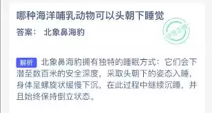哪种海洋哺乳动物会头朝下睡觉