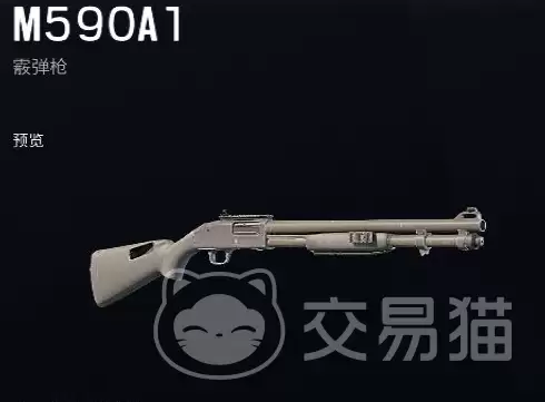 彩虹六号手游武器大全图鉴：彩虹六号手游全武器类型 属性与实战搭配指南