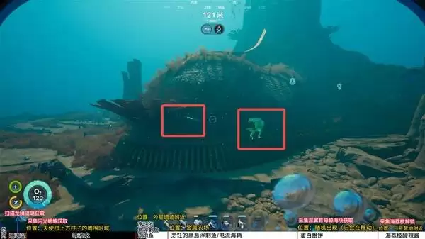 深海迷航2烹饪过的悬浮刺鱼、泡泡鱼怎么获得
