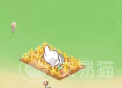 最终的梦幻岛兑换码汇总 最终的梦幻岛最新兑换码获取方式