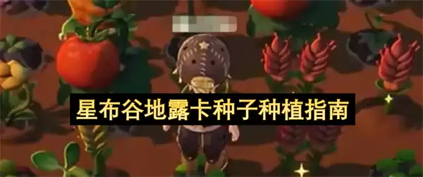 星布谷地露卡种子种植指南