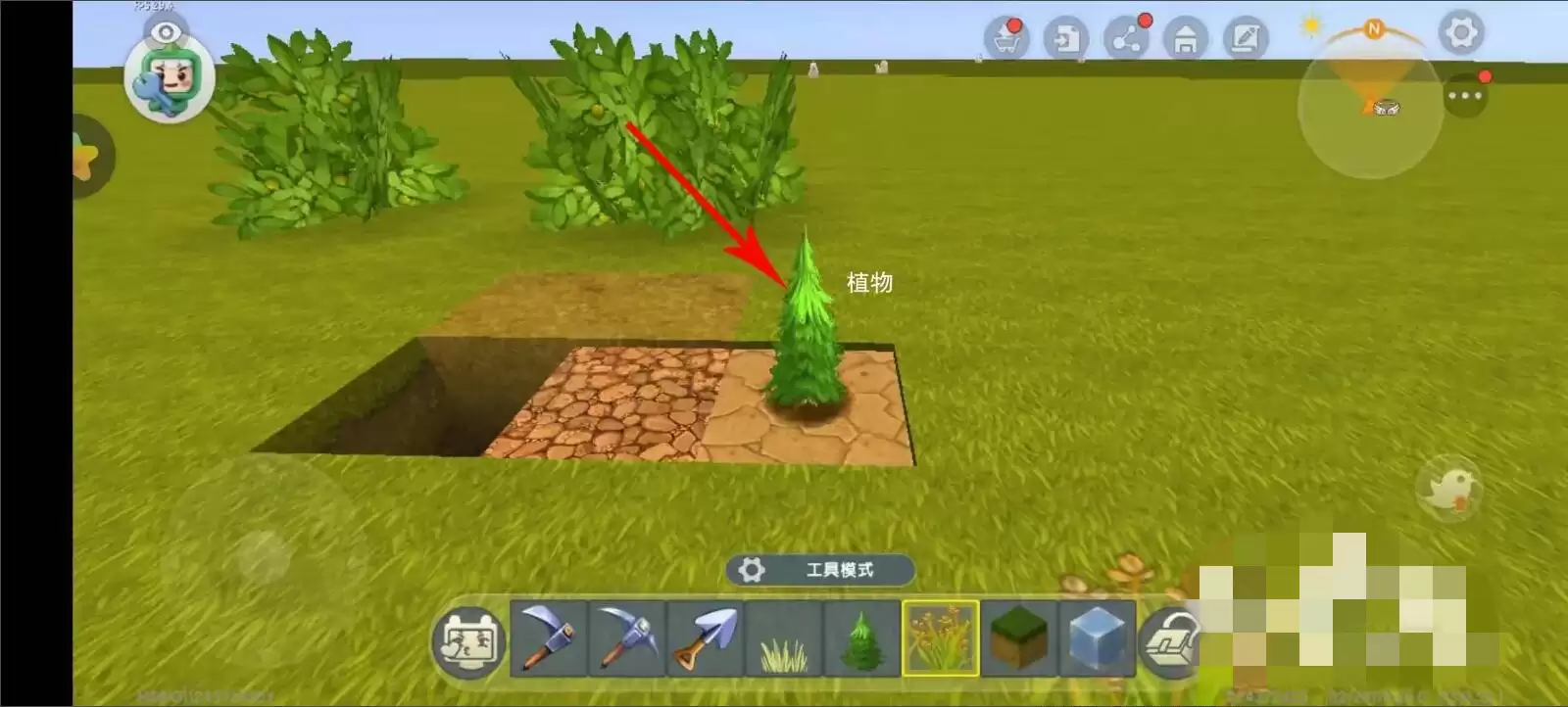 迷你世界种植物种不上去怎么办
