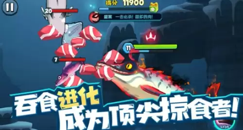 鱼吃鱼