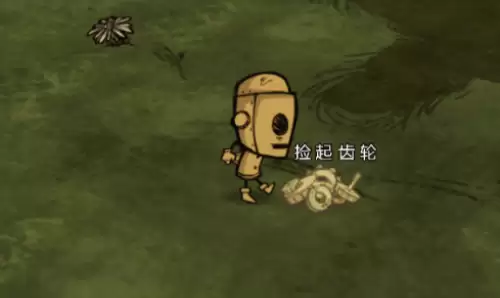 齿轮