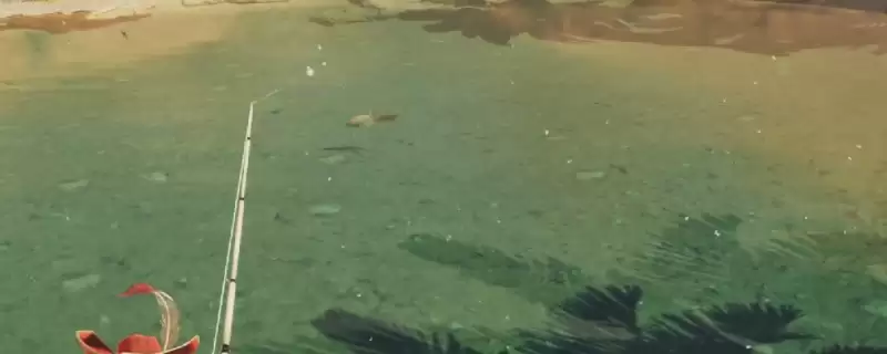 怪物猎人：荒野攻略：吸引鱼咬钩方法介绍