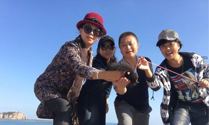 探索太空之旅，海岛技能加点攻略（海岛太空之旅全面解析，助你成为顶级探险家）-第2张图片-