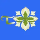 苔米云2026