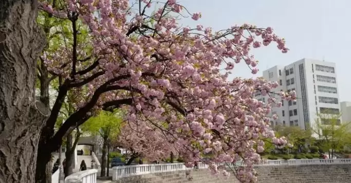 一站我的大学我的朋友很少成就攻略（挑战，友谊，成就）-第2张图片-