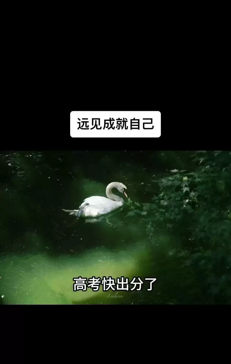 一站我的大学我的朋友很少成就攻略（挑战，友谊，成就）-第3张图片-