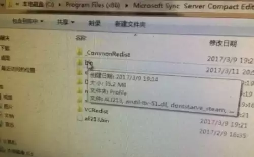 饥荒存档文件夹是哪个1