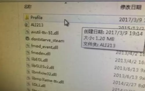 饥荒存档文件夹是哪个2