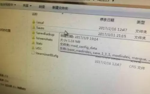 饥荒存档文件夹是哪个4