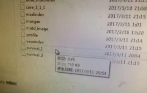 饥荒存档文件夹是哪个5