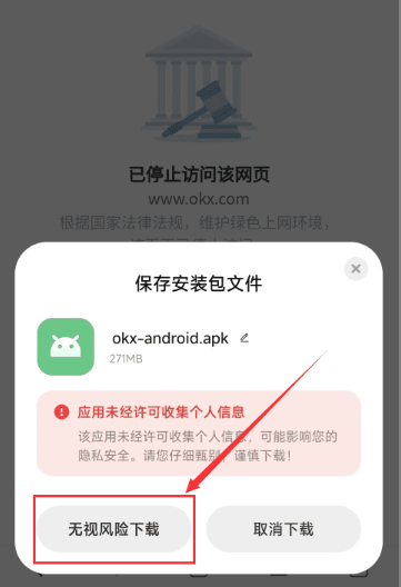 1781161638176974.png 无视风险安装 .png
