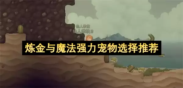炼金与魔法强力宠物推荐选择
