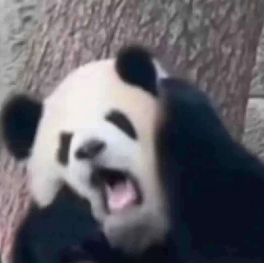 《画狐》道宗炼蛊-配方分享