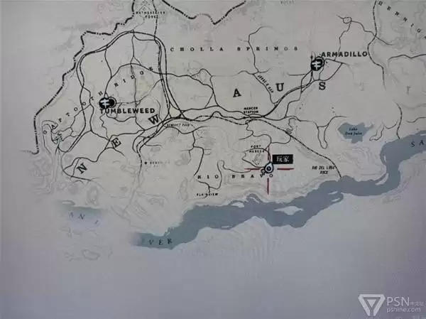 荒野大镖客2难找动物汇总