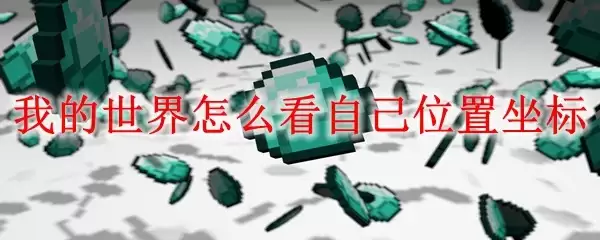 我的世界自己位置坐标怎么看