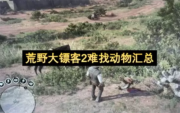 荒野大镖客2难觅动物汇总