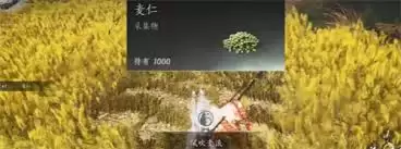燕云十六声滹沱区四个麦子隐藏成就如何获取攻略-燕云十六声滹沱区四个麦子相关隐藏成就获取方法