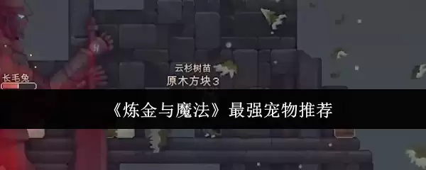 《炼金与魔法》最强宠物战力推荐