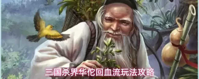 三国杀界华佗回血流打法详解