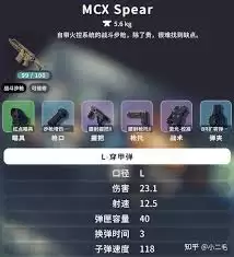 逃离鸭科夫高伤害低射速武器有哪些优势