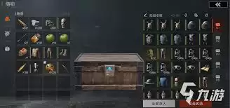 失控进化组队玩法是什么