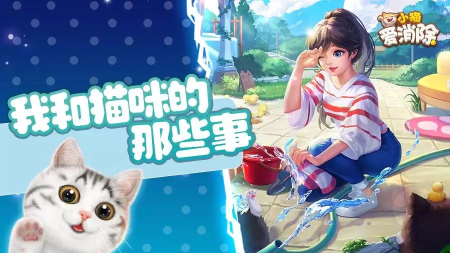 探析喵喵结合的猫咪本质特征