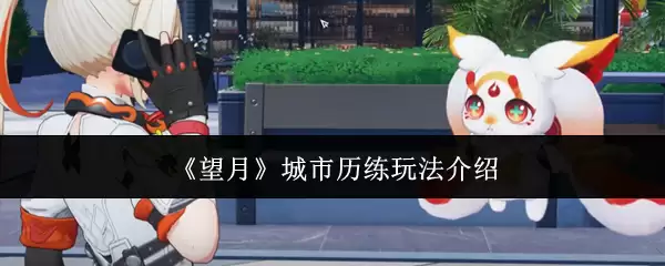 望月城市历练玩法介绍