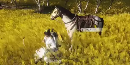 燕云十六声稀有坐骑琳琅雪如何获得_琳琅雪获取流程详解