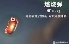 逃离鸭科夫全投掷物图鉴包含哪些