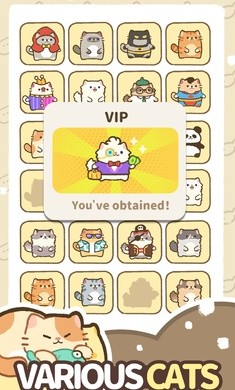 我的完美猫旅 2