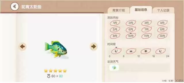 《心动小镇》驼背太阳鱼垂钓时间地点攻略