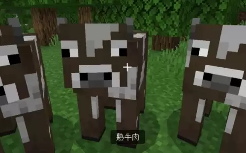 我的世界怎么将生牛肉变熟-mc生牛肉变熟方法