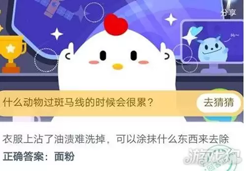 衣服上沾了油渍洗不掉可以涂什么东西去除
