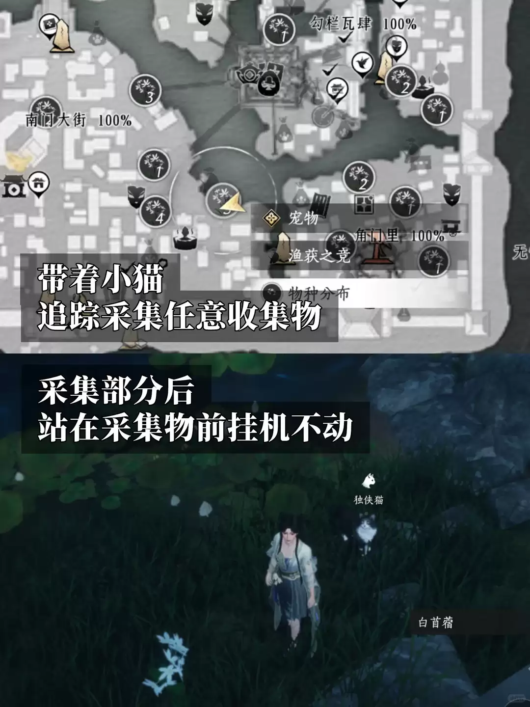 燕云十六声喵的备忘录成就指南