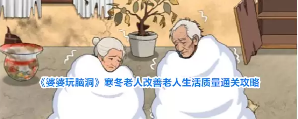婆婆玩脑洞寒冬老人改善老年生活质量通关攻略
