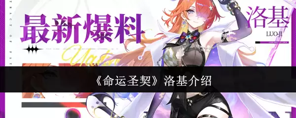 命运圣契洛基介绍