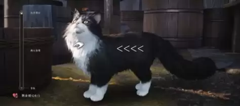 给猫猫顺毛