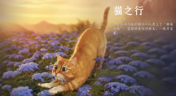 燕云十六声猫猫互动成就达成方法指南