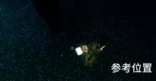 帮助笨拙水手或愉悦地理学家在云峰寻找宝藏4