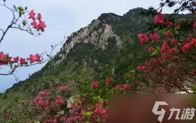 异环谕石收集玩法是什么